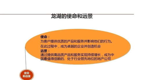 龍湖企業(yè)管理與運營精細化管理策略探討